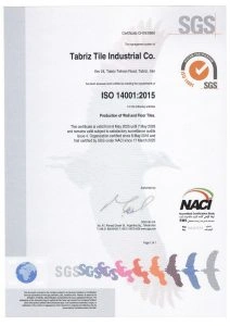 ISO-14001-2015-212x300